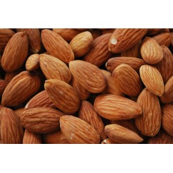 Almond Regular