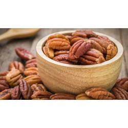 Pecan Nut