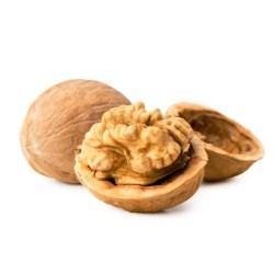 Walnut Shell